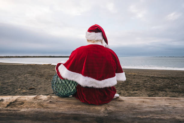Christmas Tree and Santa Claus on a tropical beach in a sunny day.