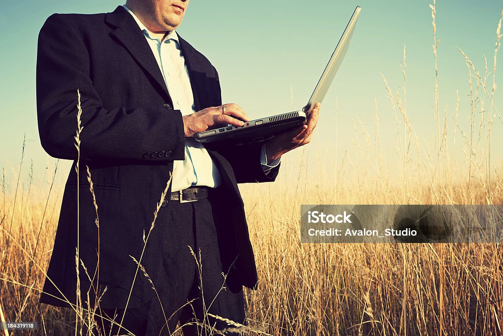 Uomo d'affari che lavorano nel campo - Foto stock royalty-free di Adulto