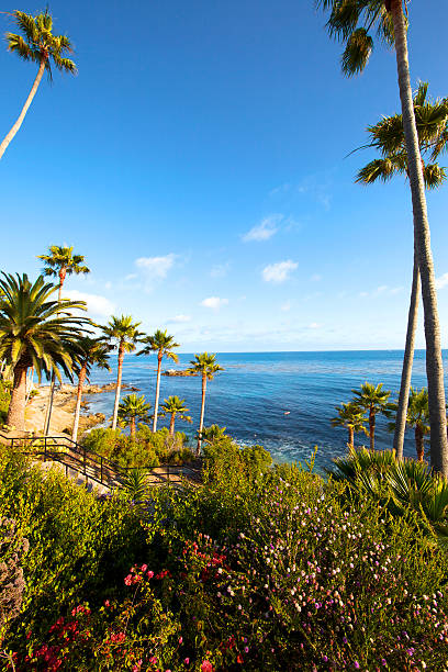 istock Beautiful California Coastline 184319176