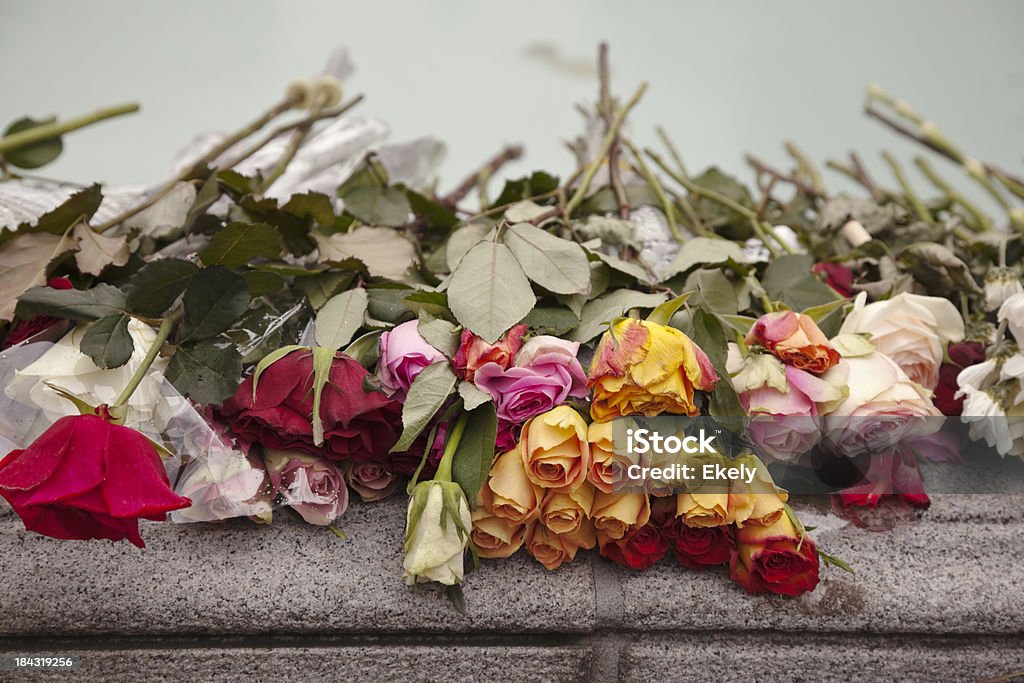 Rosen in einem Springbrunnen. - Lizenzfrei Abgestorbene Pflanze Stock-Foto