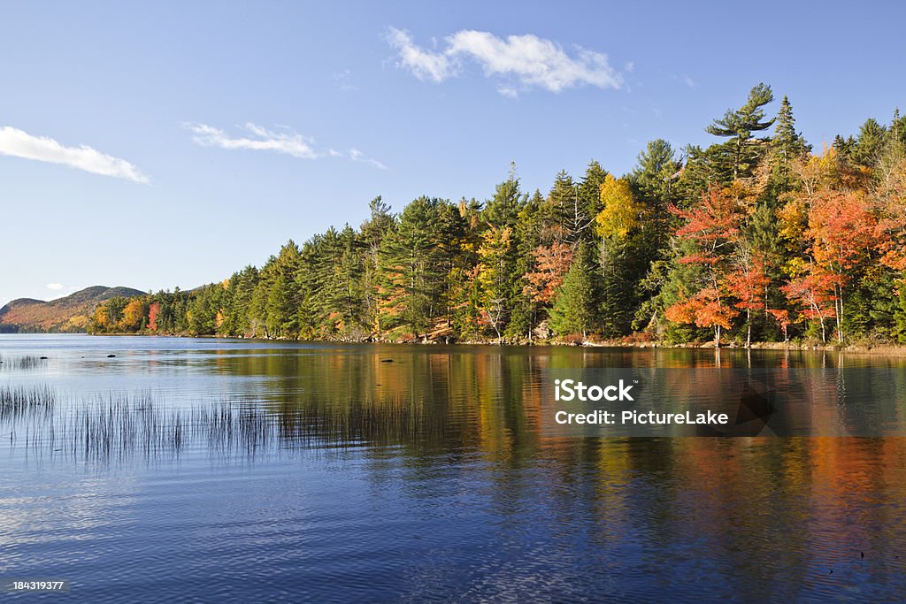 Eagle Lake Autumn morning, Acadia National Park "An early morning view of the Autumn foliage on a shore of Eagle Lake, Acadia National Park, Maine. North Bubble, South Bubble, and Conner's Nub are visible in the background." Acadia National Park Stock Photo