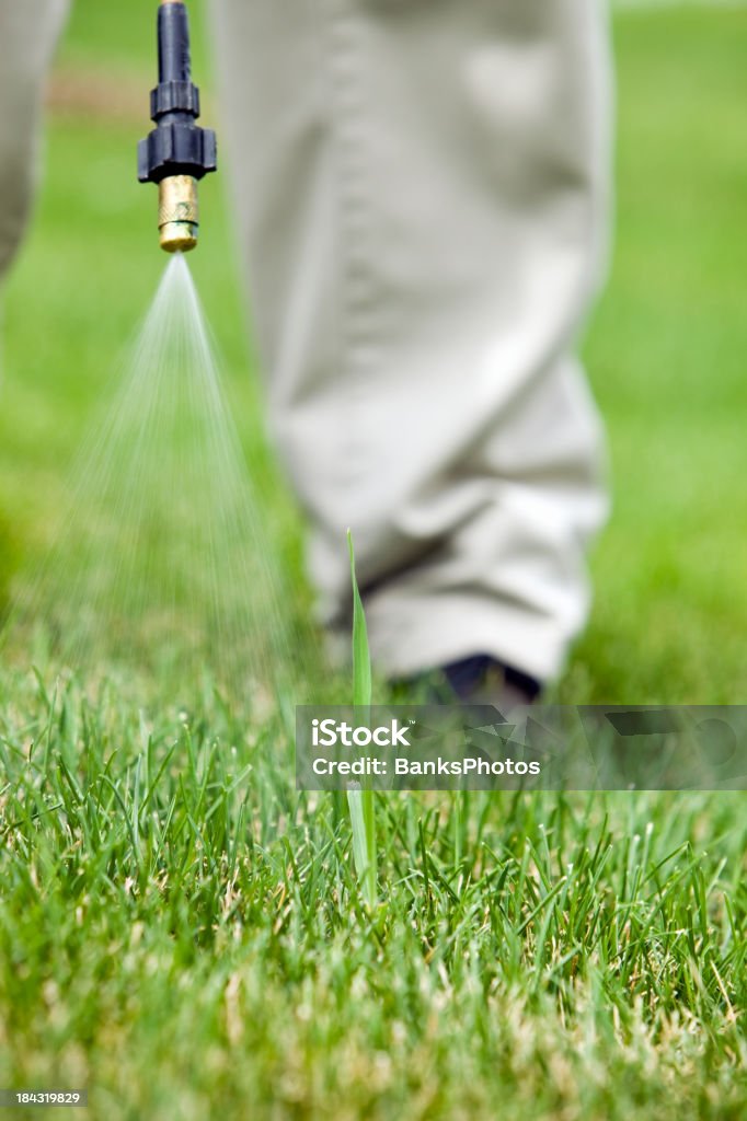 Lawn pulverizadores Crabgrass trabajador de atención - Foto de stock de Aire libre libre de derechos