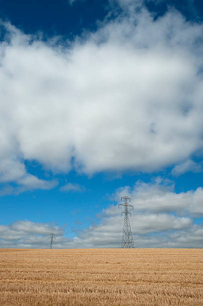 L'électricité - Photo