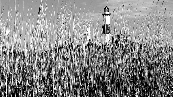 This photograph depicts a black and white scene of a lighthouse viewed through a field of tall grasses, creating a contrast between the natural textures in the foreground and the structured silhouette of the lighthouse in the background.