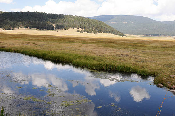 Jemez River on Valles Caldera National Preserve "Jemez River with clouds, sunshine, and mountains on Valles Caldera National Preserve, (the Old Baca Ranch) located in an old volcanic crater, close to Los Alamos, Santa Fe, and Albuquerque, New Mexico" albuquerque volcanoes stock pictures, royalty-free photos & images