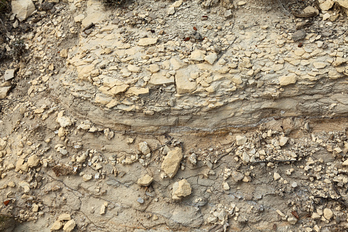 Limestone, clay, and shale deposits from ancient inland sea (Kansas).  Marine fossils (shells) are present.  