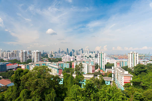 Big City And Nature Park