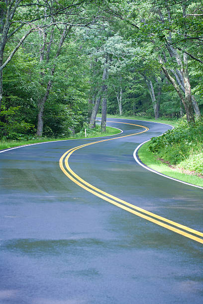 istock Skyline Drive, Blue Ridge Mountains, Shenandoah National Forest, Virginia 184321542