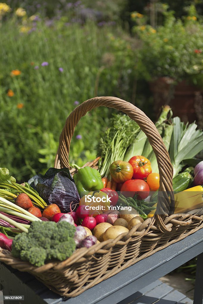 De temporada de verano fresco y verduras en cesta de mimbre Harvest - Foto de stock de Abundancia libre de derechos