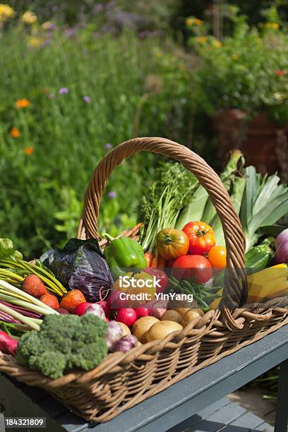 De Temporada De Verano Fresco Y Verduras En Cesta De Mimbre Harvest Foto de stock y más banco de imágenes de Abundancia