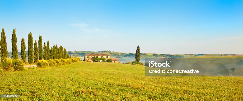 Toscana green Hills al aire libre y árboles en el verano soleado día - Foto de stock de Agricultura libre de derechos