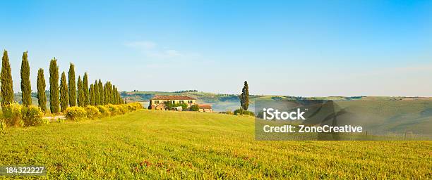 Toscana Green Hills Al Aire Libre Y Árboles En El Verano Soleado Día Foto de stock y más banco de imágenes de Agricultura