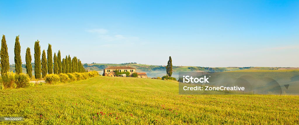屋外のトスカーナの緑の丘と木。夏に晴れた日 - イタリアのロイヤリティフリーストックフォト