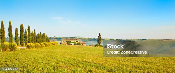 屋外のトスカーナの緑の丘と木夏に晴れた日 - イタリアのストックフォトや画像を多数ご用意 - イタリア, カラフル, トスカーナ