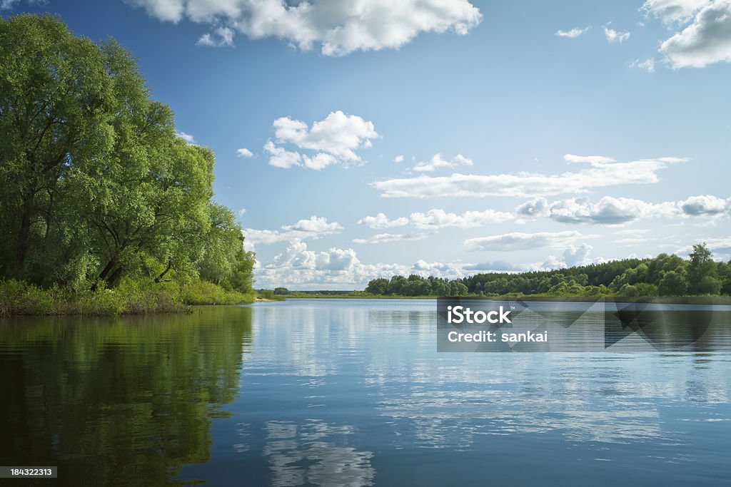 Forest lake - Foto de stock de Azul royalty-free
