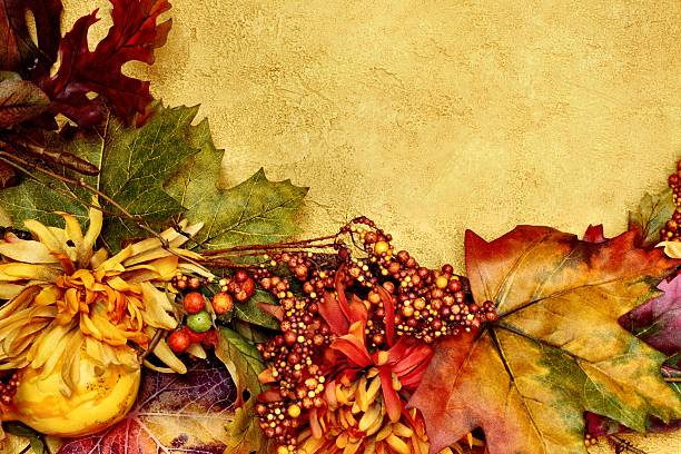 istock Autumn Leaves, Berries and Chrysanthemums with copy space 184322602
