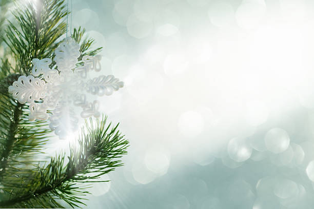 istock Snowflake in front of unfocused lights 184322623