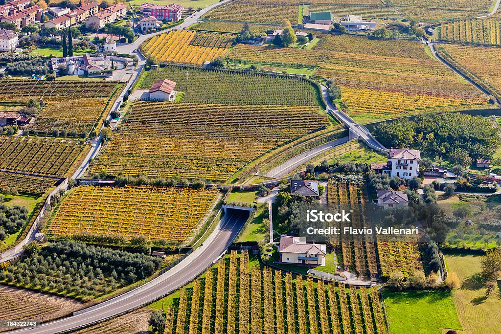 Terra Cultivada - Royalty-free Agricultura Foto de stock