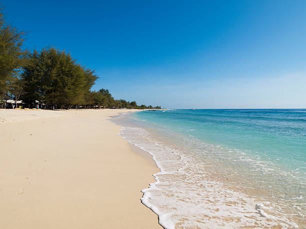 istock Wave rolls in onto the beach, Gili Islands, Indonesia 184323008
