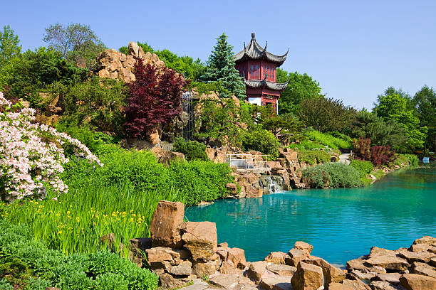 montreal, quebec, canada - nature japanese garden formal garden ornamental garden foto e immagini stock