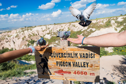 Pigeon valley, Cappadocia