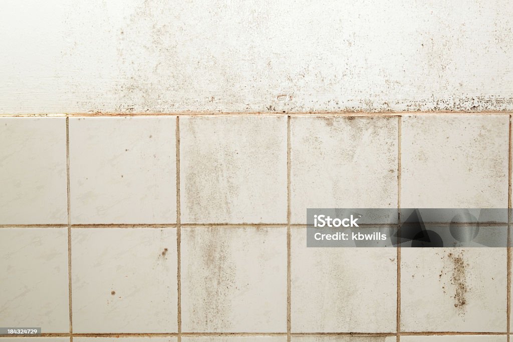 Fortement souillé mouldy salle de bains en carreaux de mur et - Photo de Antihygiénique libre de droits
