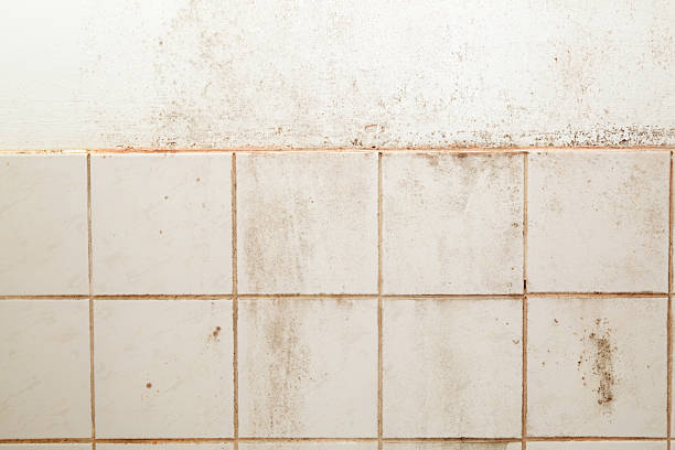 istock heavily soiled mouldy bathroom tiles and wall 184324729