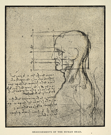 Vintage illustration Measurments of the Human Head, Leonardo da Vinci, Sketch, notebook, Renaissance art