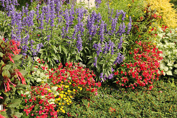 istock Flower garden in summer 184325881