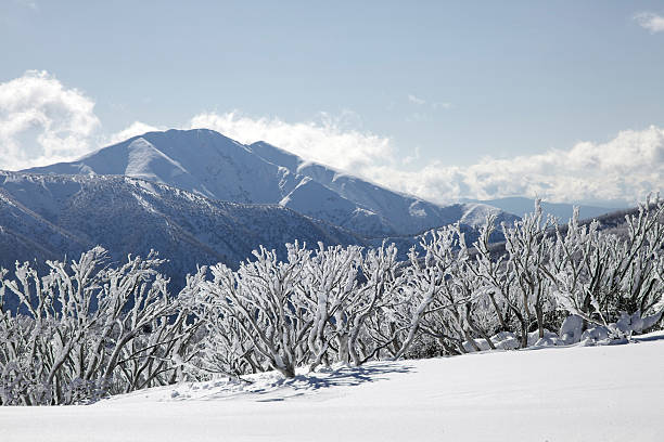 istock Snow in the Alps 184326146