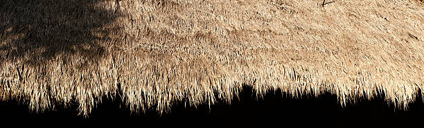 Tiki Hut Trim straw tiki hut trim / to be used as a border / that's pretty cool hey straw roof stock pictures, royalty-free photos & images