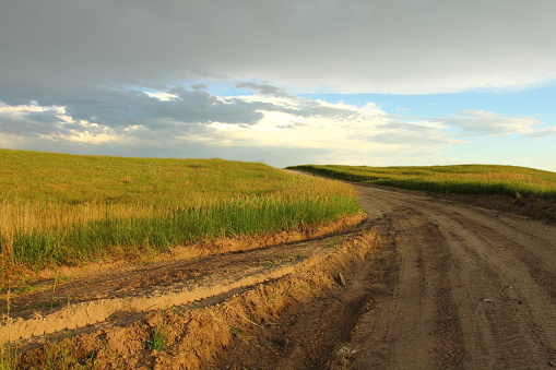 A dirt road sliced through ranch country.  Storm looms in the background.