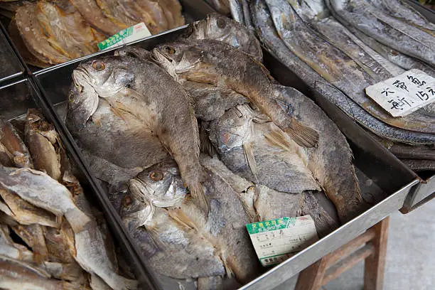 Tour of fish with a large selection of dried fish