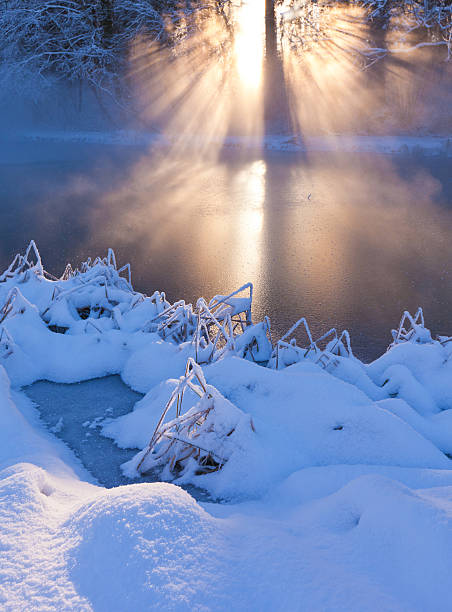 istock winter sunbeam on a small lake in bavaria, germany 184328749