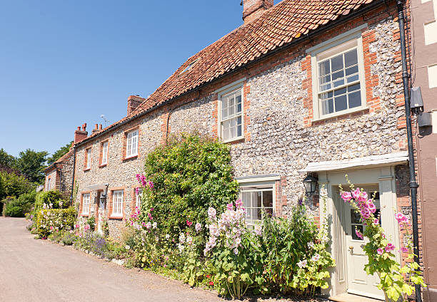 inglês tradicionais casas de norfolk - gardening single flower house flower imagens e fotografias de stock