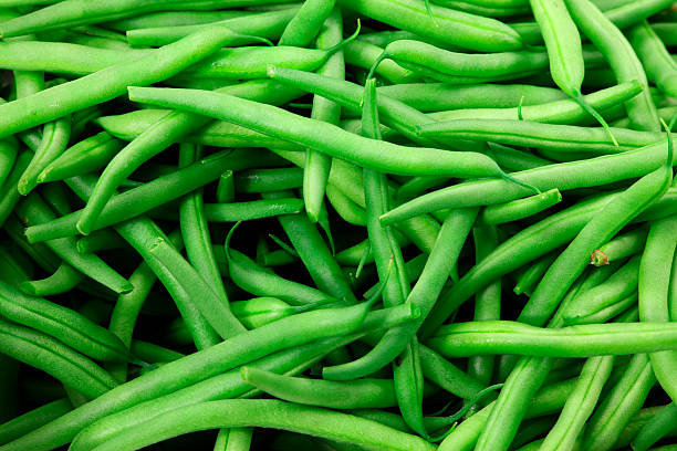 Close-up of a bunch of green beans fresh picked beans green bean stock pictures, royalty-free photos & images