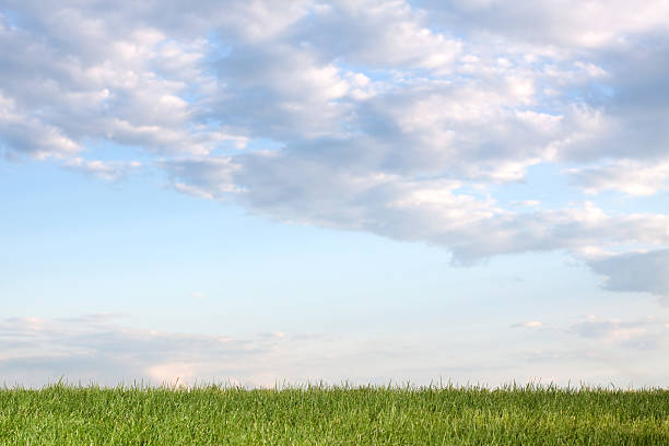 istock Green Grass with Blue  Sky and Fluffy White Clouds 184329646