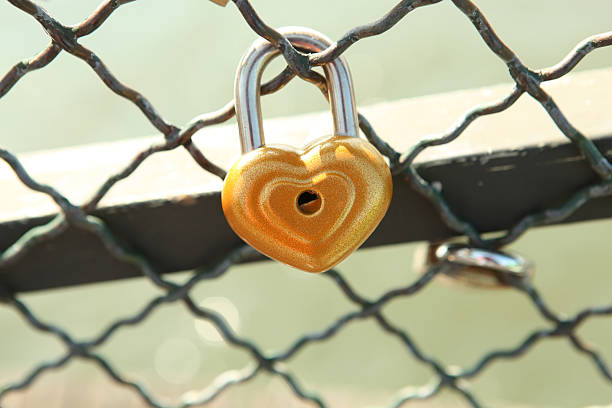 istock Heart Padlock on Chainlink Fence 184330577
