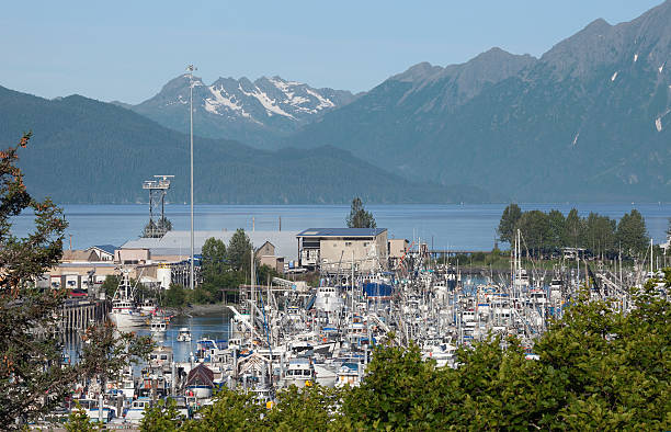 Valdez’ Small Boat Harbor and beautiful mountains in background. "Valdezaa Small Boat Harbor from atop nearby hilltop, with bay and beautiful Chugach Mountains in background." chugach mountains photos stock pictures, royalty-free photos & images