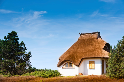 Idyllic house with thatched roof