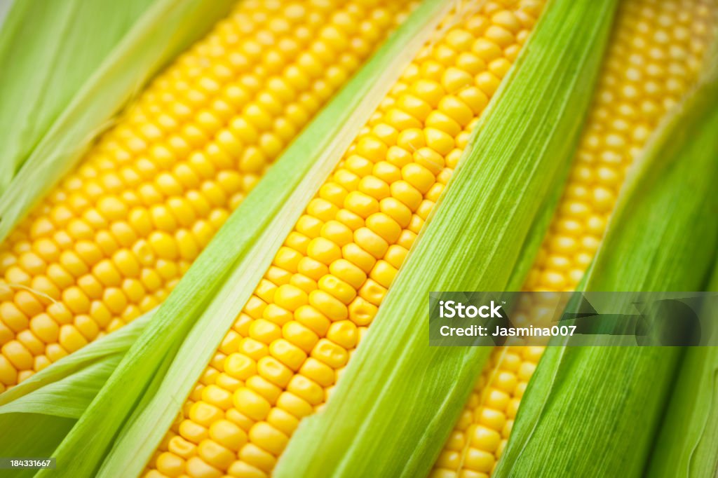Frais de maïs - Photo de Maïs libre de droits