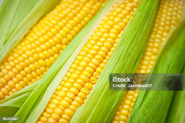 Fresh Corn Stock Photo - Download Image Now - Corn, Corn - Crop, Corn On The Cob