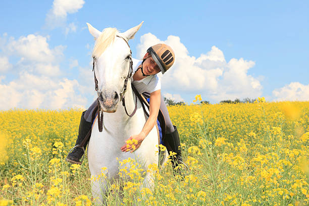istock White Horse Yellow Flower - Caress Animal 184331764