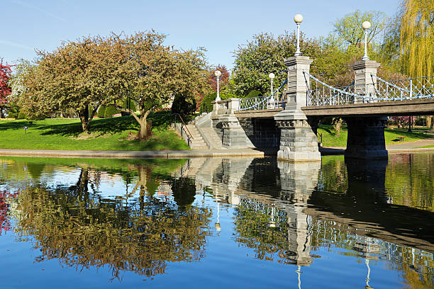 pont de la lagune - boston formal garden bridge park photos et images de collection