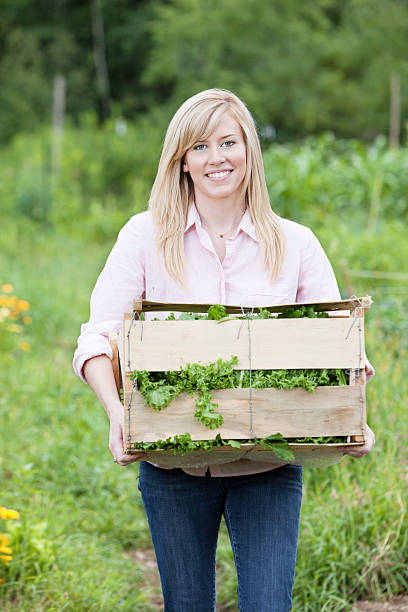 istock Organic Gardening or Farming 184332503