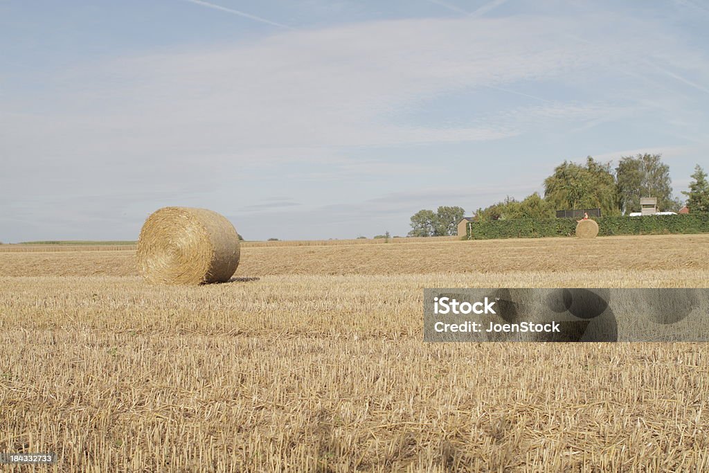 Mucchio di fieno su un campo in la Vallonia Belgio - Foto stock royalty-free di Agricoltura