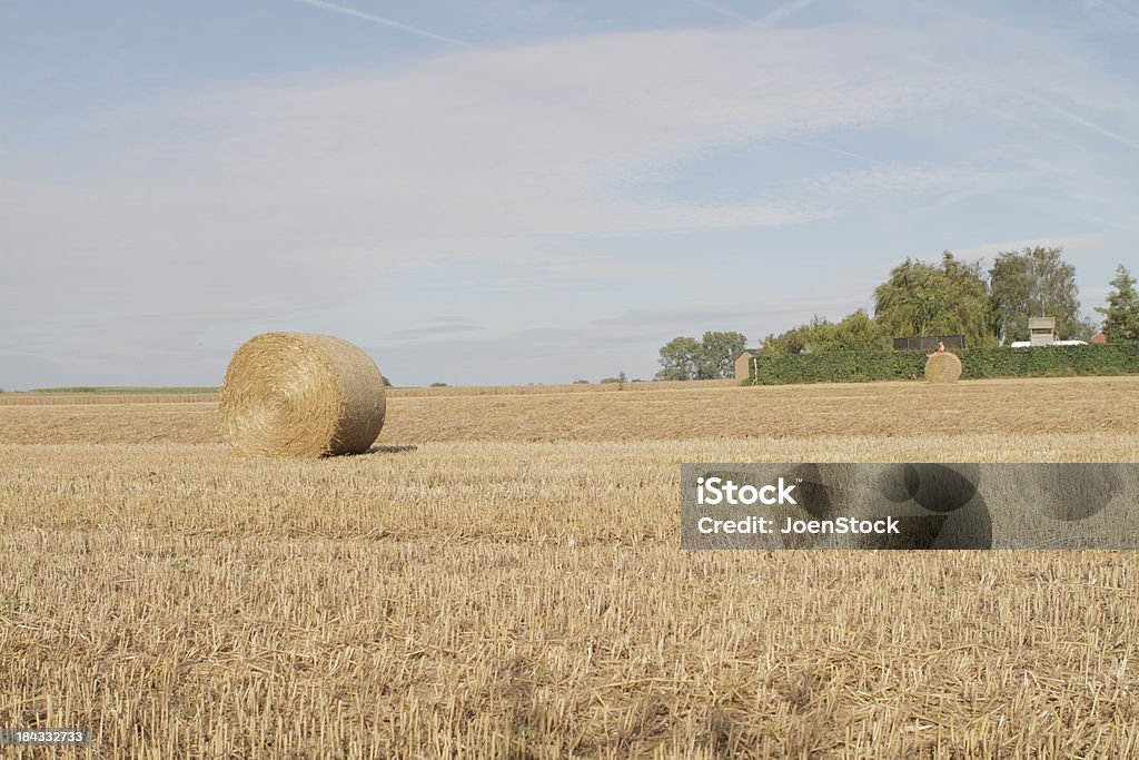 Em um campo de feno em Wallonia Bélgica - Royalty-free Agricultura Foto de stock