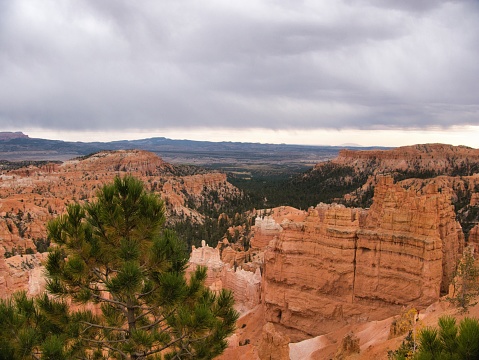 Bryce Canyon panoramic view in autumn
