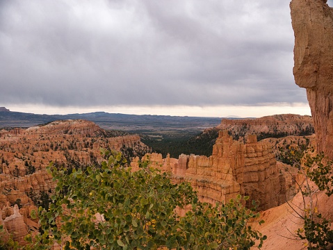 Bryce Canyon panoramic view in autumn