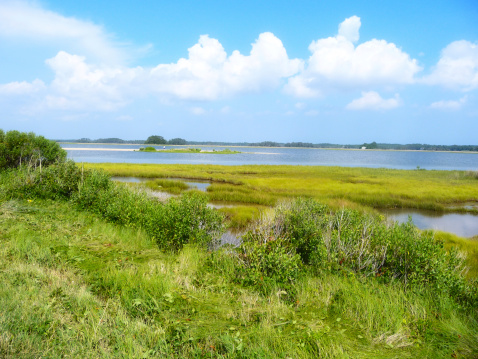 A beautiful summer view of marshland near Virginia's Chesapeake Bay.